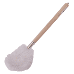 Brush Toilet
