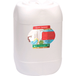 Carpet Shampoo