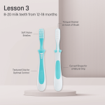 Training Toothbrush Lesson 3 Green