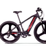 Conti 29" E-Bike