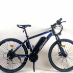 Conti 29" E-Bike