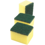 Scourer Sponge