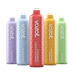 VOZOL ALIEN 4000-Box of 10