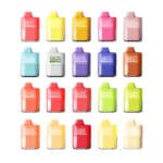 VOZOL ALIEN 5000-Box of 10