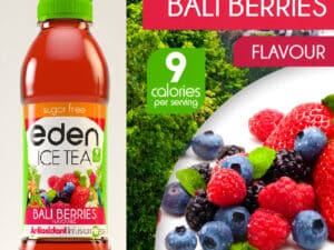 Eden Ice Tea Bali Berries 500ML-6/Box
