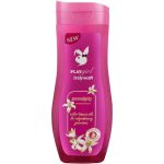 Playgirl Body Wash Serendipity -400ml/Box of 24